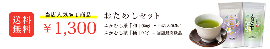 当店人気No.1商品 おためしセット 1,300円 送料無料!