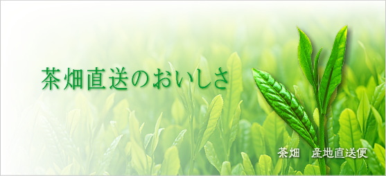 日本茶通販専門店「お茶の里」